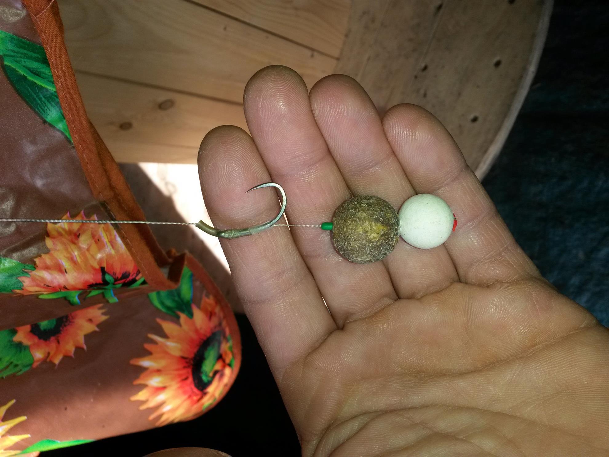 ISOLA DEL PESCATORE 10 - 11 martie 2016 - 20160310113200.jpg